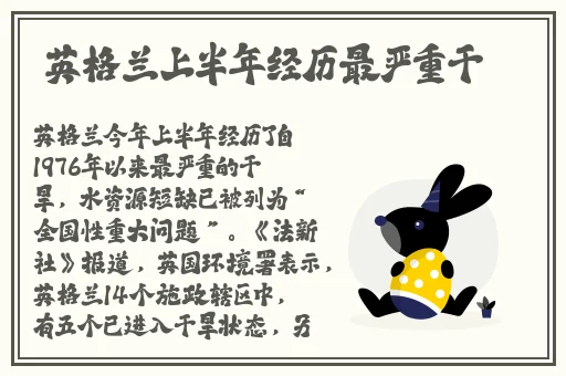 迈开腿打扑克去掉马赛克